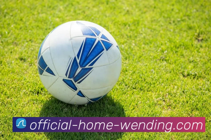 问鼎娱乐APP 高清赛事图